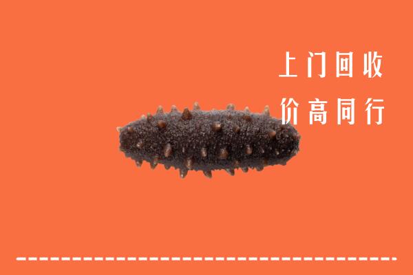温州鹿城区回收海参