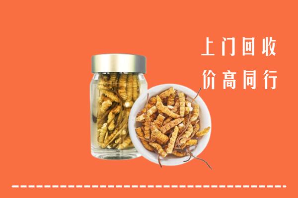 温州鹿城区回收冬虫夏草