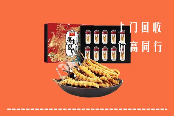 温州鹿城区回收虫草